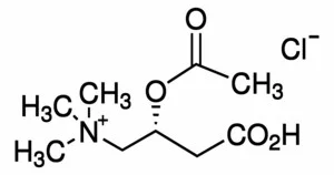 乙酰-L-肉(毒)碱盐酸盐