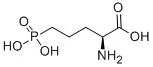 试剂L-AP5(储存“-20℃”;运输“冰袋”)
