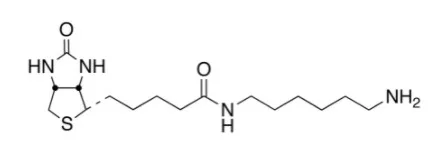 化合物BIOTINYL HEXYLAMINE(储存“-20℃”;运输“冰袋”)
