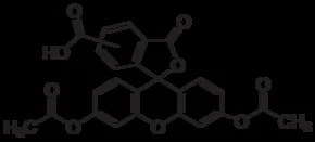5(6)-羧基荧光素二乙酸酯(储存“2-8℃”;运输“冰袋”)