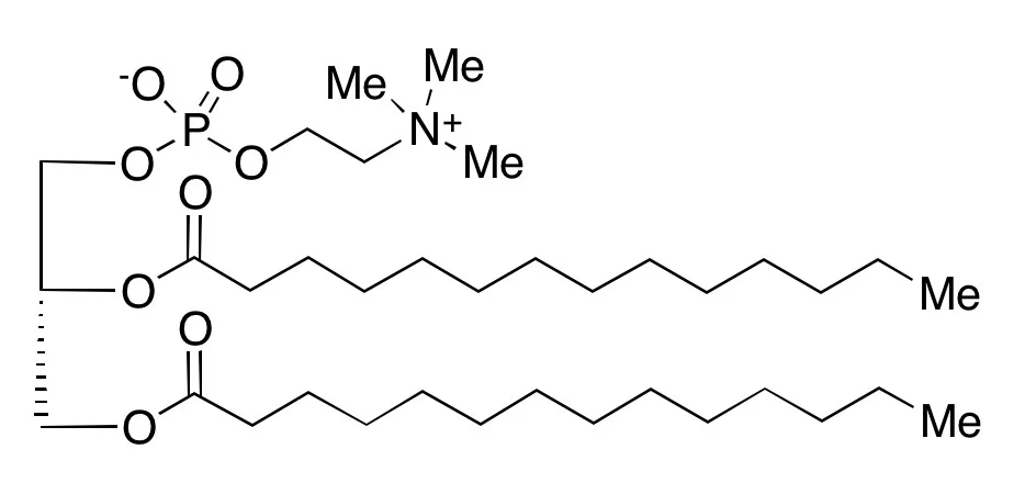 二肉豆蔻酰磷脂酰胆碱(DMPC)(储存“-20℃”;运输“干冰”)