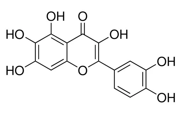 试剂QUERCETAGETIN(储存“-20℃”;运输“冰袋”)