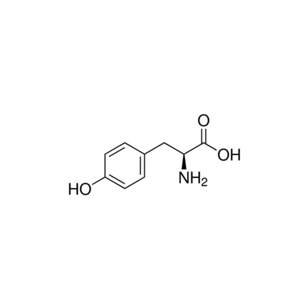 L-酪氨酸