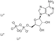 腺苷-5’-二磷酸三锂(储存“-20℃”;运输“干冰”)