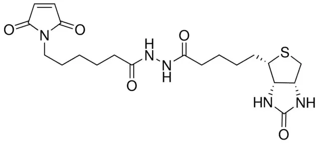 生物素-马来酰亚胺（储存“2-8℃”；运输“冰袋”）