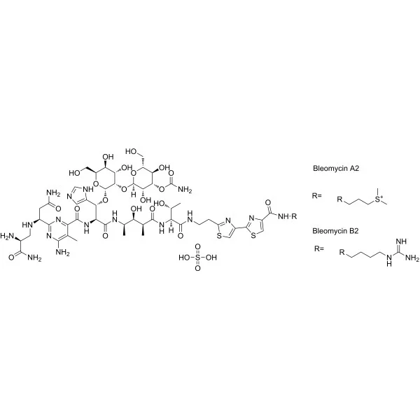 试剂BLEOMYCIN SULFATE(储存“-20℃”;运输“冰袋”)