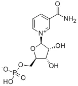 烟酰胺杂质7(Β-烟酰胺单核苷酸)(储存“2-8℃”;运输“冰袋”)