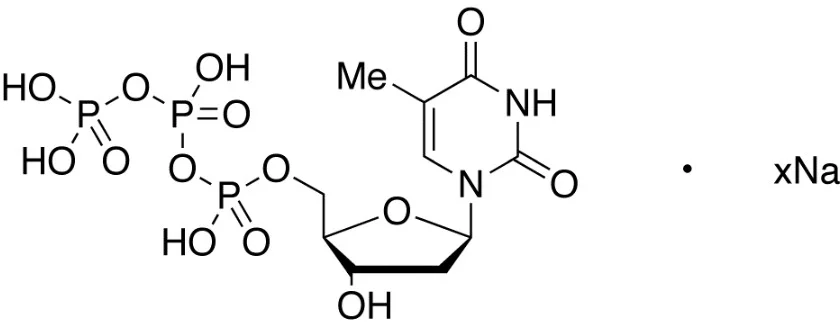 2’-脱氧胸苷-5’-三磷酸三钠盐,二水合物(储存“-20℃”;运输“干冰”)