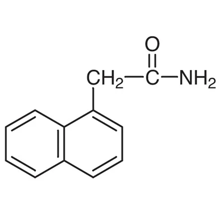 1-萘基乙酰胺(储存“2-8℃”;运输“冰袋”)