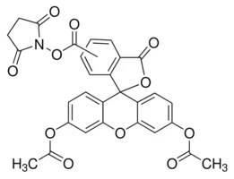 5(6)-羧基二乙酸荧光素琥珀酰亚胺酯(CFDA)(储存“-20℃”;运输“干冰”)