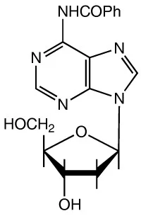 N-苯甲酰基-2'-脱氧腺苷, 98+%