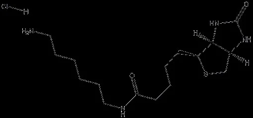 N-生物素基-1,6-己二胺盐酸盐