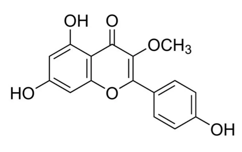 异辛加必利