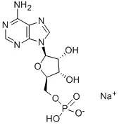 5’-单磷酸腺苷单钠(储存“2-8℃”;运输“冰袋”)