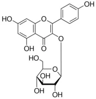 山奈酚3-β-ᴅ-吡喃葡萄糖苷(存储 “-20℃”;运输 “干冰”)