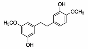 石斛酚