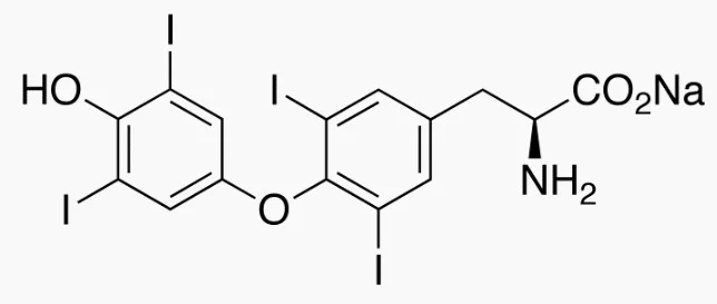 左旋甲状腺素钠