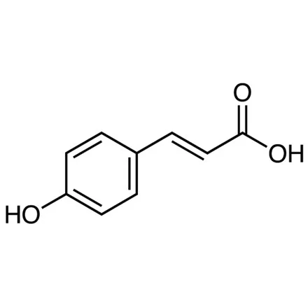 对羟基肉桂酸,主要为反式