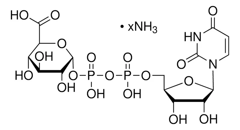 尿苷-5′-二磷酸葡糖醛酸 铵盐(存储 “-20℃”;运输 “干冰”)