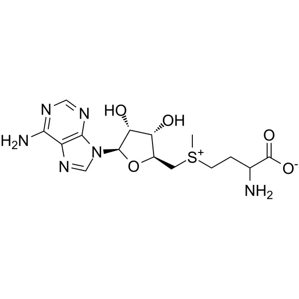 试剂S-ADENOSYL-DL-METHIONINE(储存“-20℃”;运输“冰袋”)