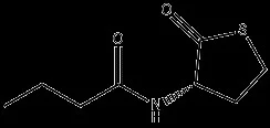 试剂N-BUTYRYL-L-HOMOCYSTEINE THIOLACTONE(储存“-20℃”;运输“冰袋”)