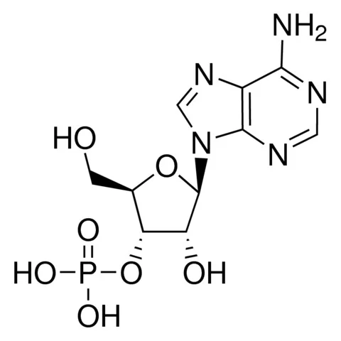 腺苷杂质N9(储存“-20℃”;运输“冰袋”)