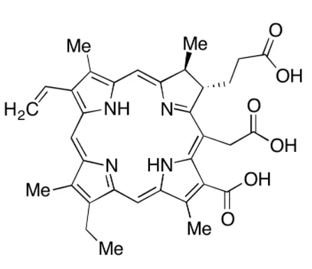 化合物CHLORIN E6(储存“-20℃”;运输“冰袋”)