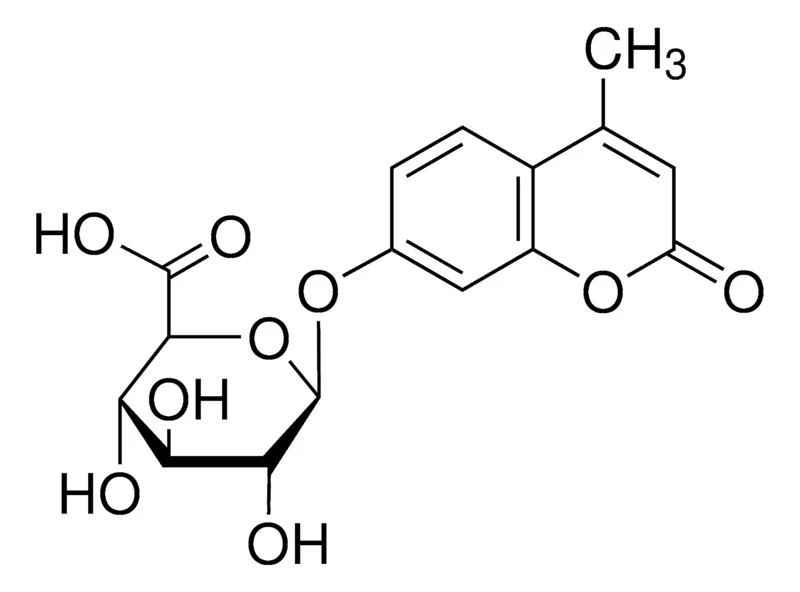 化合物4-METHYLUMBELLIFERYL Β-D-GLUCURONIDE(储存“-20℃”;运输“冰袋”)