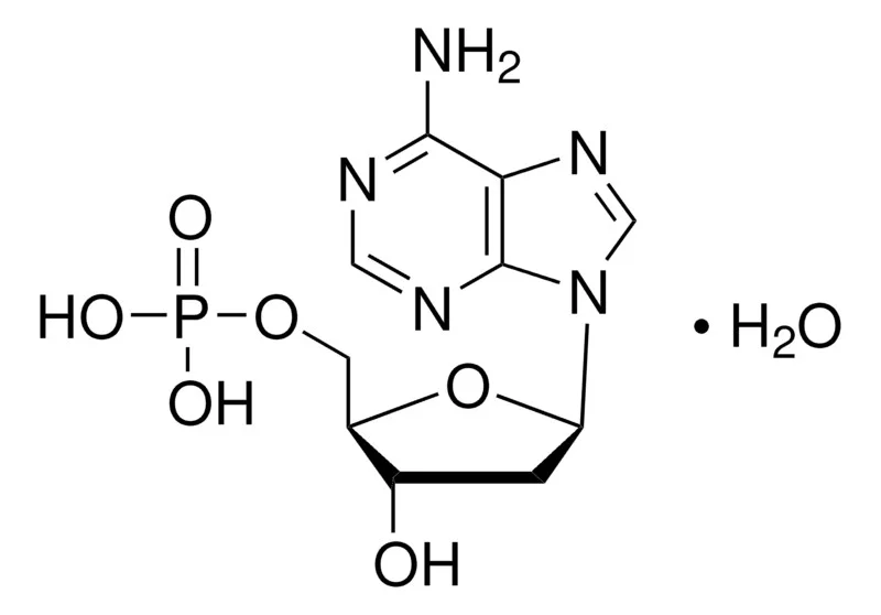 2′-脱氧腺苷-5′-单磷酸 一水合物