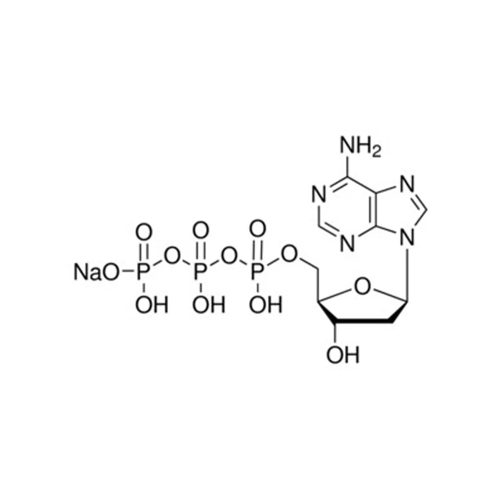 2′-脱氧腺苷5′-三磷酸 钠盐 溶液(存储 “-20℃”;运输 “干冰”)