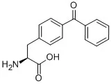 4-苯甲酰基-L-苯基丙氨酸, 95%
