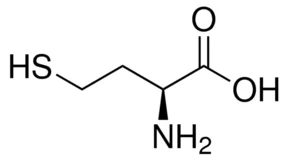 L-高半胱氨酸(储存“2-8℃”；运输“常温”) - TCI