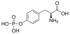 O-磷酸基-L-酪氨酸(储存“-20℃”；运输“常温”) - TCI