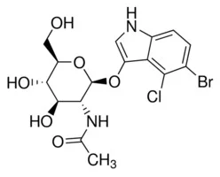 5-溴-4-氯-3-吲哚基 N-乙酰基-Β-D-氨基葡糖苷(储存“-20℃”；运输“干冰”) - TCI