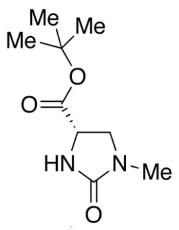 (4S)-1-甲基-2-氧代咪唑啉-4-甲酸叔丁酯 - 沃凯