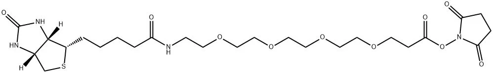 试剂BIOTIN-PEG4-NHS ESTER（储存“-20℃，避光”；运输“干冰”） - 沃凯