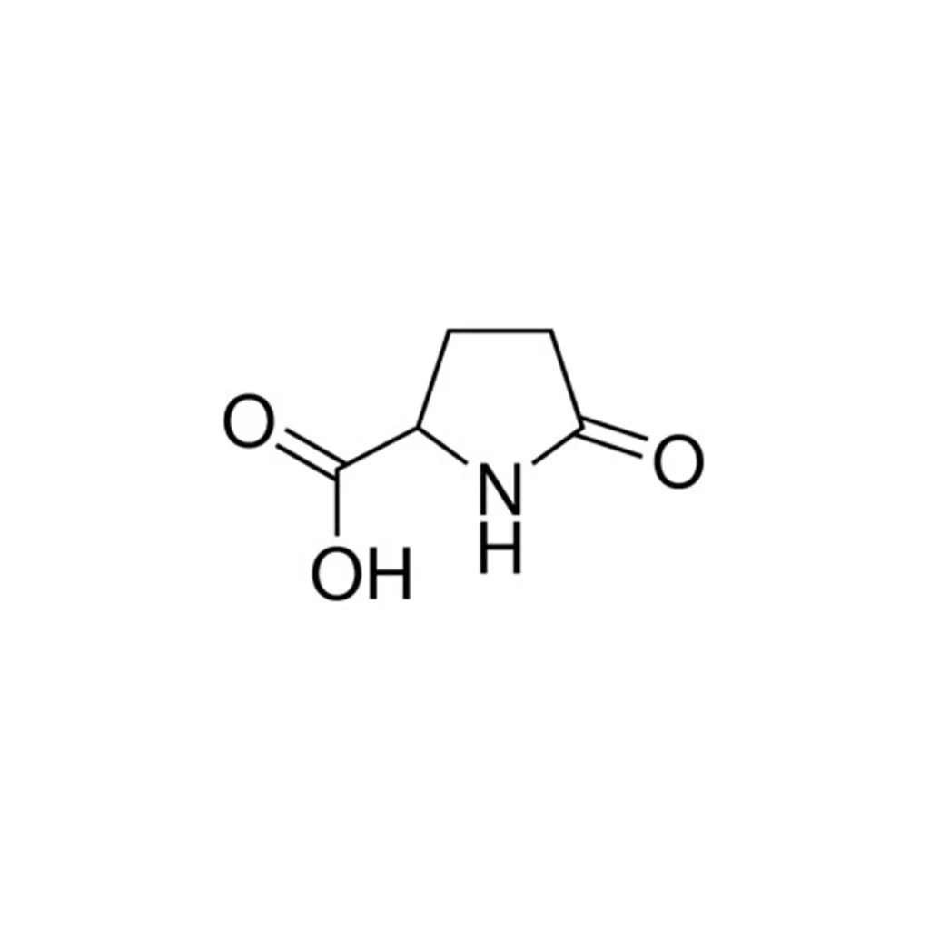 试剂DL-2-PYRROLIDONE-5-CARBOXYLIC ACID(储存“-20℃”;运输“冰袋”)