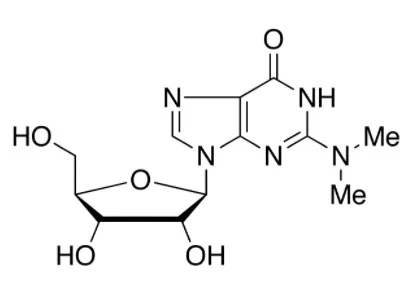 试剂N2，N2-Dimethylguanosine （储存“2-8℃”；运输“冰袋”） - 沃凯