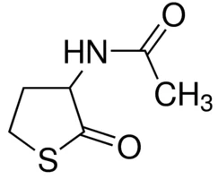 3-乙酰氨基四氢-2-噻吩(储存“2-8℃”;运输“常温”)