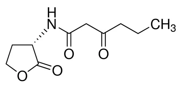 N-3-氧-己酰高丝氨酸内酯（储存“-20℃”；运输“干冰”） - 沃凯