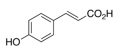 对羟基肉桂酸（储存“2-8℃”；运输“冰袋”） - 沃凯