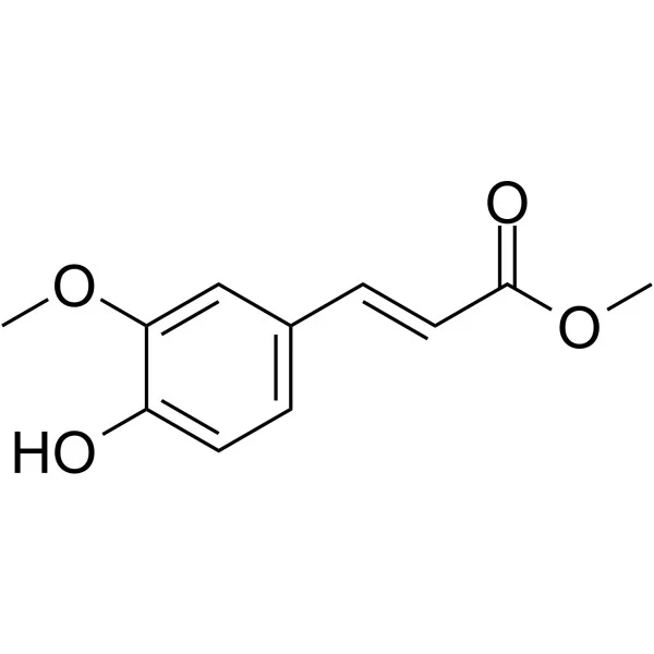 阿魏酸甲酯(储存“2-8℃”;运输“冰袋”)