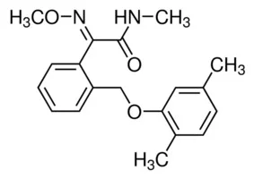 醚菌胺100ΜG/ML乙腈溶液(储存“2-8℃”;运输“冰袋”)