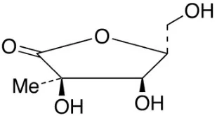 2-C-甲基-D-核糖酸-1,4-内酯(储存“2-8℃,避光”;运输“冰袋”)