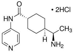 试剂Y-27632 2HCL ≥ 99% BY HPLC(储存“-20℃”;运输“干冰”)