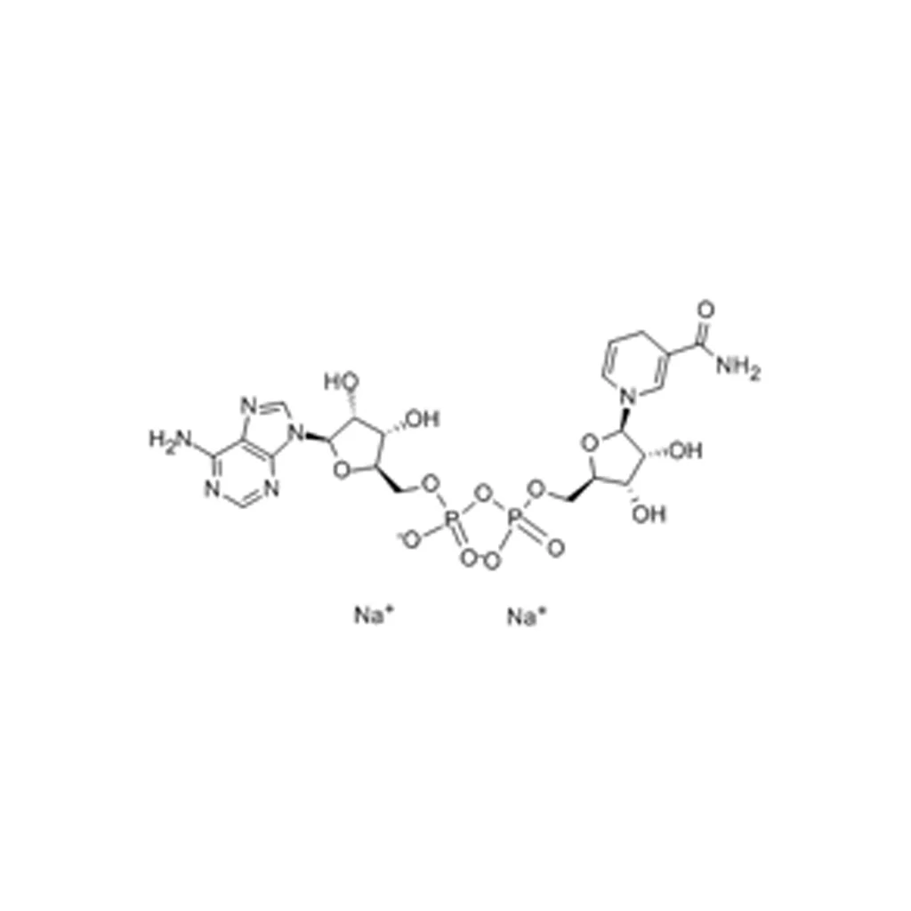还原型辅酶Ⅰ二钠盐(储存“2-8℃”;运输“冰袋”)