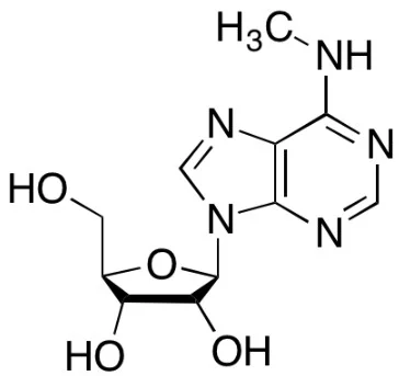 化合物N6-METHYLADENOSINE(储存“-20℃”；运输“冰袋”)