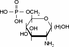 盐酸氨基葡萄糖杂质21(储存“2-8℃”;运输“冰袋”)