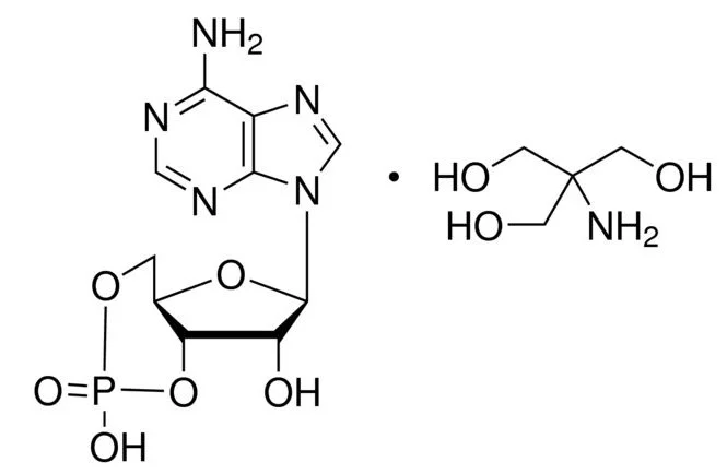 腺苷-3′,5′-环单磷酸 三羟甲基氨基甲烷盐(存储 “-20℃”;运输 “干冰”)