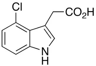 4-氯吲哚-3-乙酸(储存“2-8℃”；运输“冰袋”)